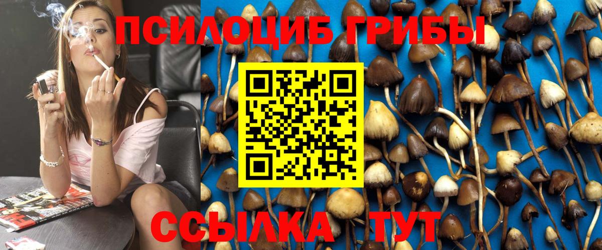 Черняховск  Псилоцибиновые грибы мухоморы  Вход с VPN 